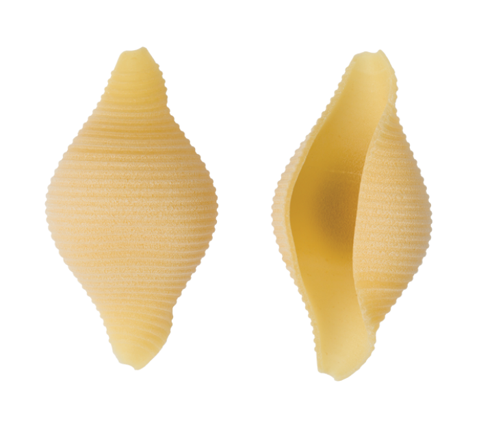 Conchiglie, IGP (Conchas) 500 gr - pasta italiana IGP | Gutiérrez Selection